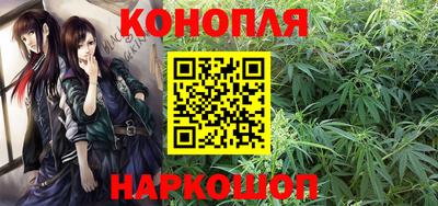 крисы Донской