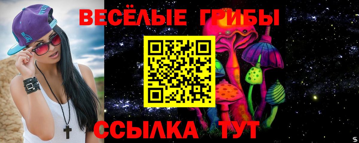 Псилоцибиновые грибы Psilocybine cubensis  Галлюциногенные грибы ЛСД  Шелехов  Вход с VPN 